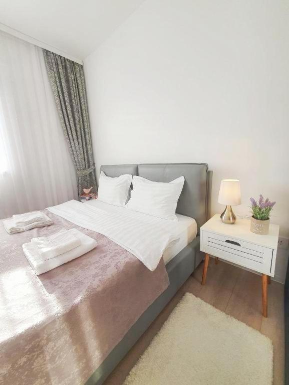 Skyblue Central Apartment - 2 Bedrooms & Free Parking Oradea Exterior foto